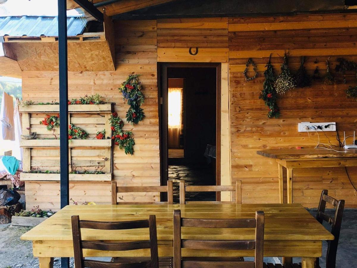 Guesthouse Omalo 外观 照片